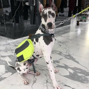 Meet your Posher, Jimmy